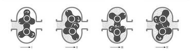 RP系列不銹鋼轉子泵